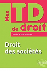 Droit des sociétés (Mes TD de droit) (2022)