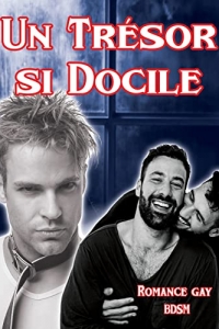 Un trésor si docile: Romance Gay BDSM (2022)