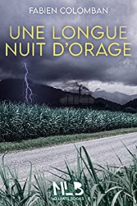 Une longue nuit d'orage: Roman captivant (2022)