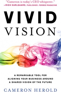 Vivid Vision: A Remarkable Tool For Aligning Your Business Around a Shared Vision of the Future (2022)