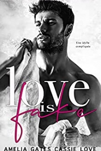 Love is Fake: Une histoire d’amour improbable (2022)