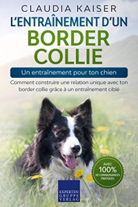 L’entraînement d’un border collie – un entraînement pour ton chien (2022)