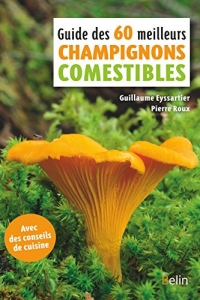 Guide des 60 meilleurs champignons comestibles (2022)