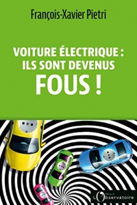 Voiture électrique : ils sont devenus fous ! (2022)