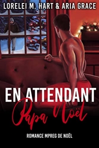 En attendant Papa Noël: Romance MPreg de Noël (2022)