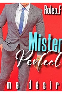 Mister perfect me désire (2022)