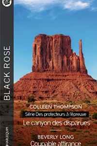 Le canyon des disparues - Coupable attirance (Des protecteurs à l'épreuve t. 2) (2022)