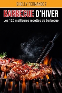 Barbecue d'hiver: Les 120 meilleures recettes de barbecue Format (2023)